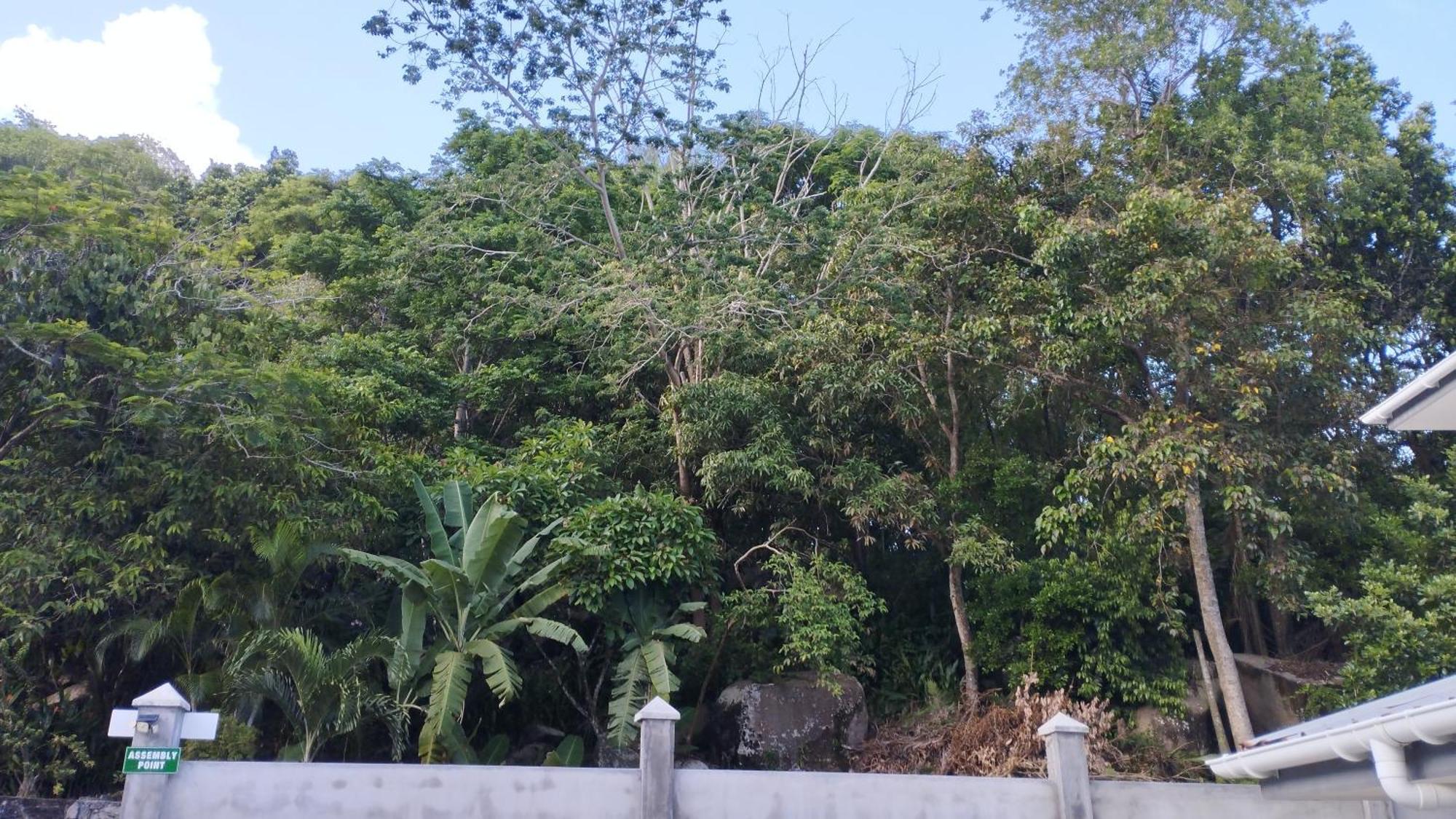 Dovass Self Catering Apartments Takamaka Luaran gambar