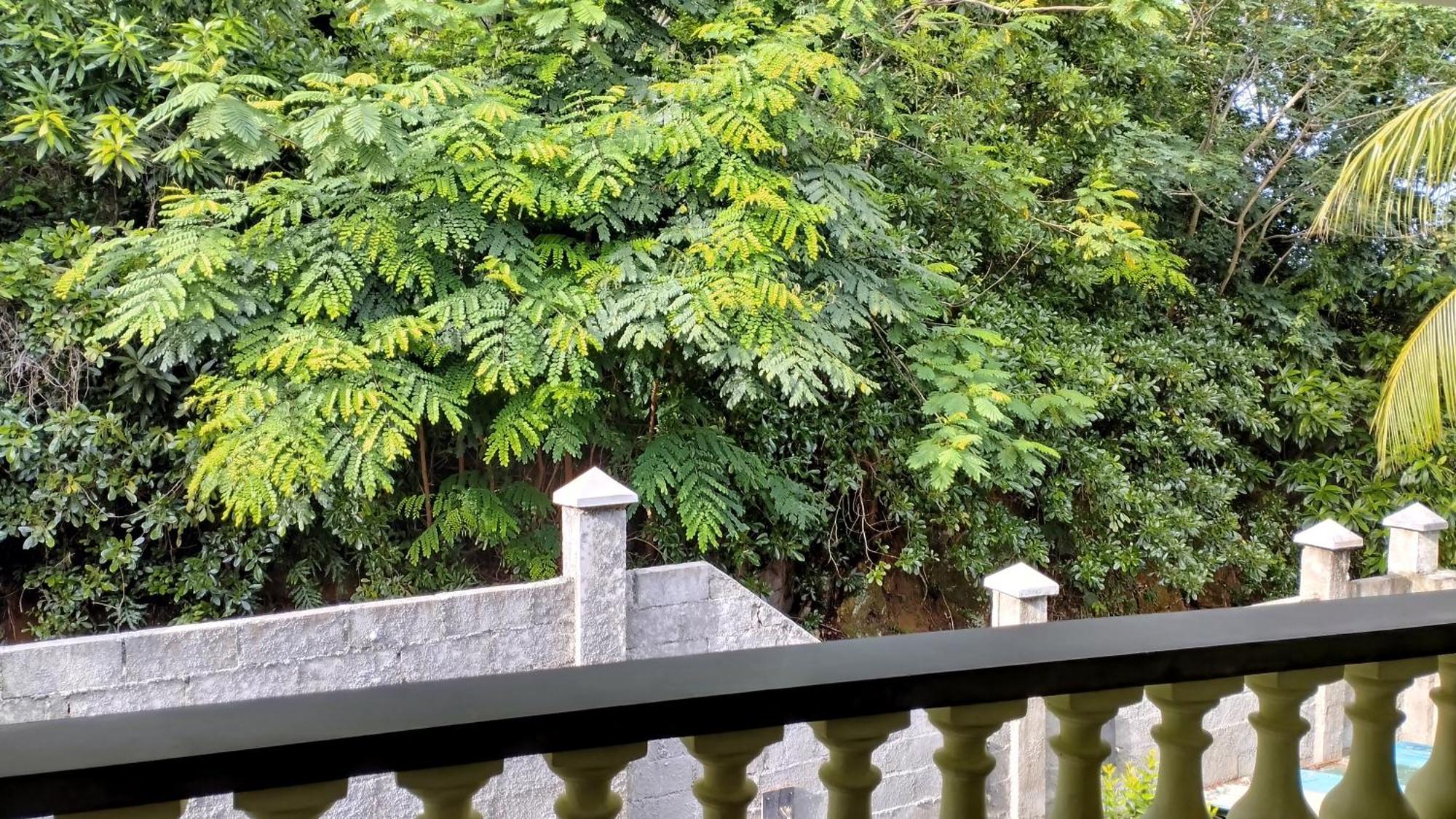 Dovass Self Catering Apartments Takamaka Bilik gambar